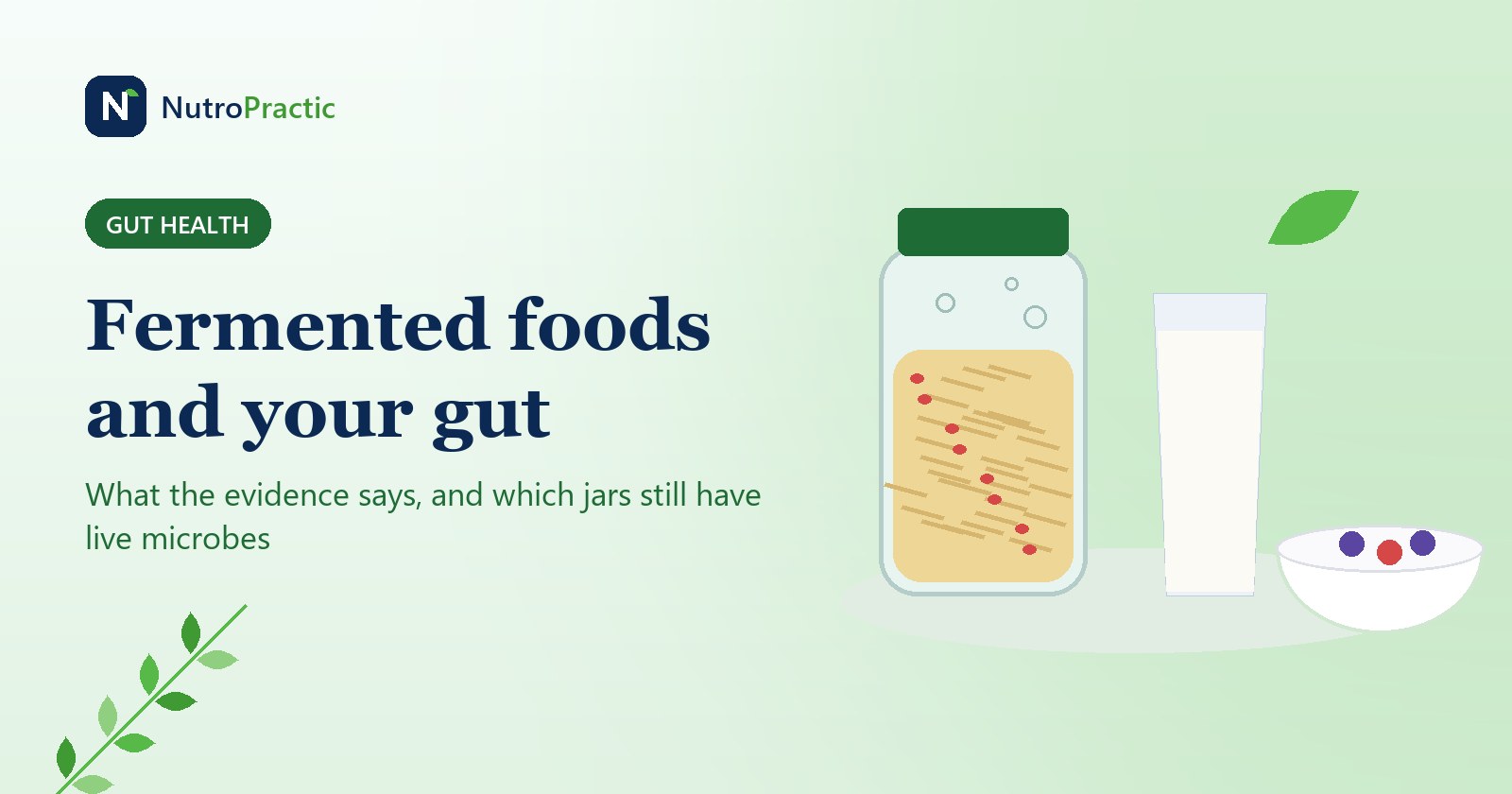 NutroPractic cover: fermented foods and your gut, what the evidence says and which jars still have live microbes