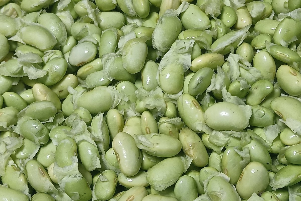 A pile of shelled green edamame soybeans