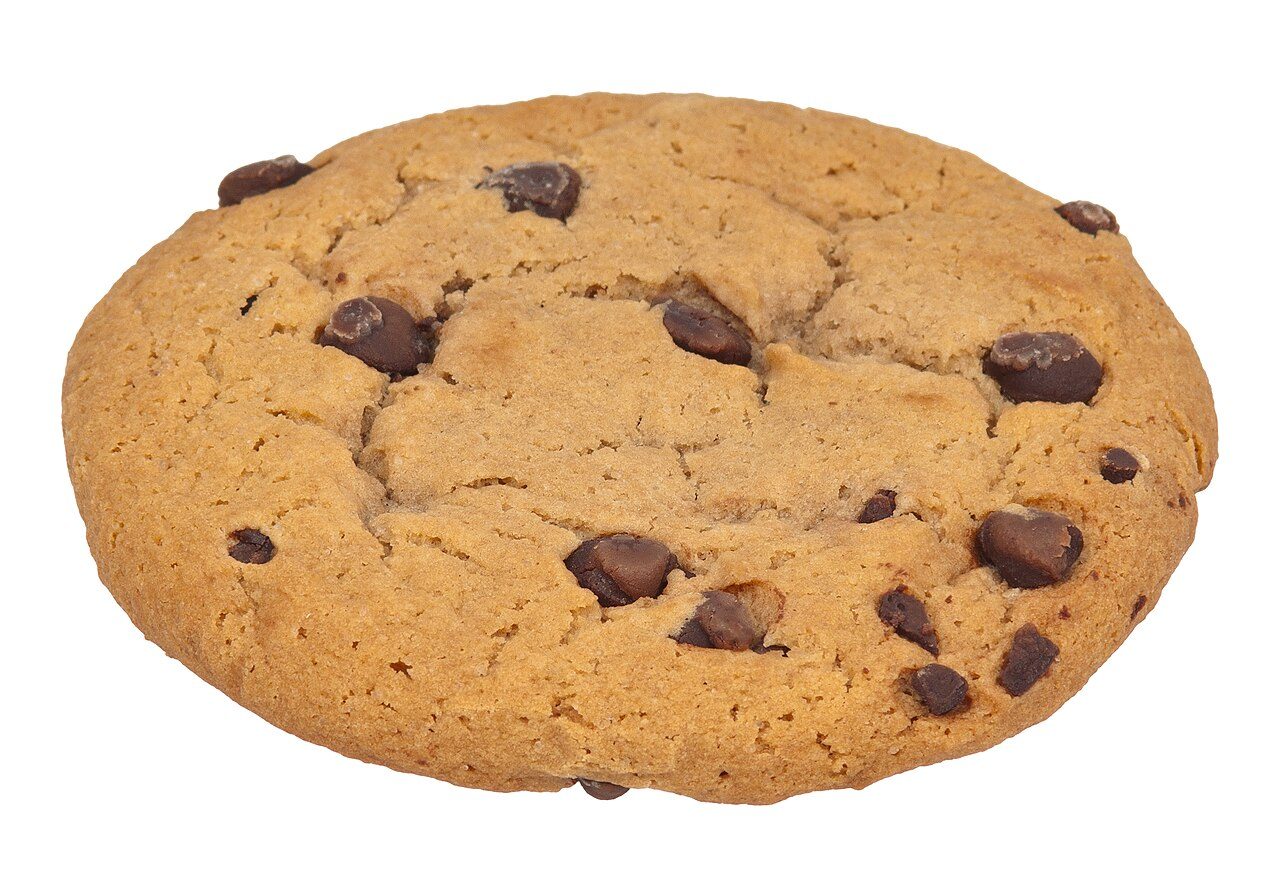 A single chocolate chip cookie on a plain white background