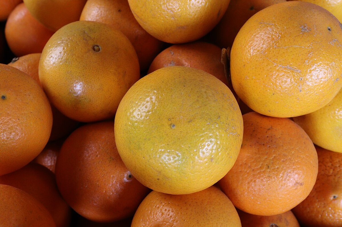 A pile of fresh oranges