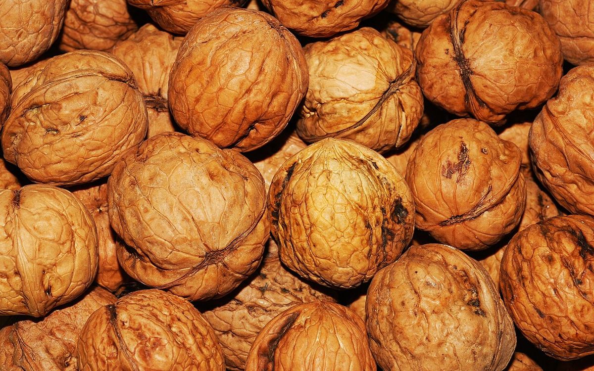 A pile of whole walnuts in their shells, filling the frame